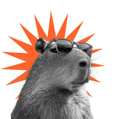 R&eacute;seau d'experts Bitwip